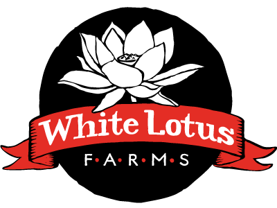 http://whitelotusfarms.com/cdn/shop/files/new-web-logo_1200x1200.png?v=1613537481